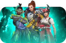 OW Coaching service